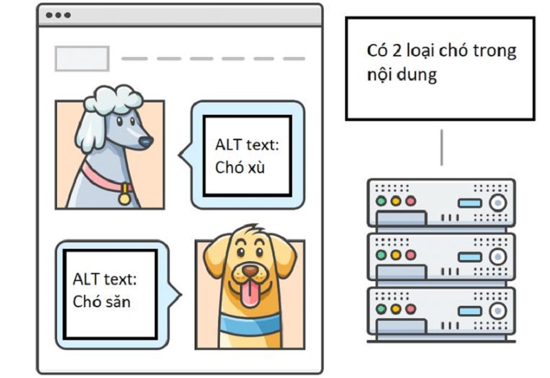 Viết ngắn gọn, bao quát ý