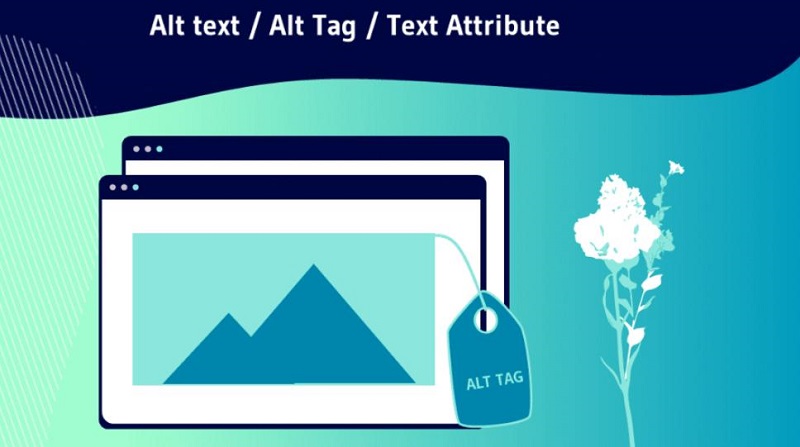 Thẻ Alt text là gì? Vai trò của thẻ Alt Text