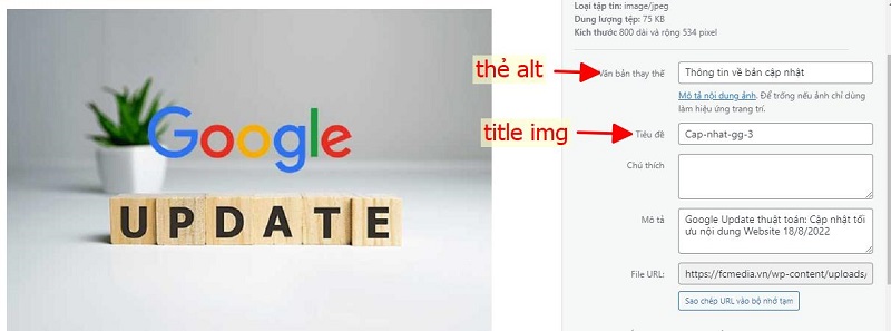 Cấu trúc thẻ Alt Text tối ưu nhất